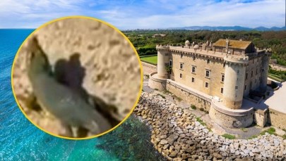 Włosi dronami szukali gada, którego bali się mieszkańcy. Zaskakujący finał