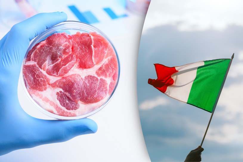 Włosi jako pierwsi na świecie wprowadzą zakaz sztucznego mięsa. Spotkało się to z krytyką ze strony naukowców i ekologów /123RF/PICSEL
