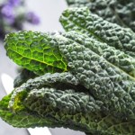 Włoski przysmak, pokarbowany jak skóra dinozaura. Jedz na zdrowe kości, dobrą pracę serca i odporność 