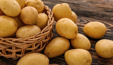 Włóż to do pojemnika z ziemniakami. Nie wypuszczą kiełków aż do wiosny 