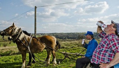 Wnioski o dopłaty bezpośrednie złożyła 1/3 uprawnionych rolników