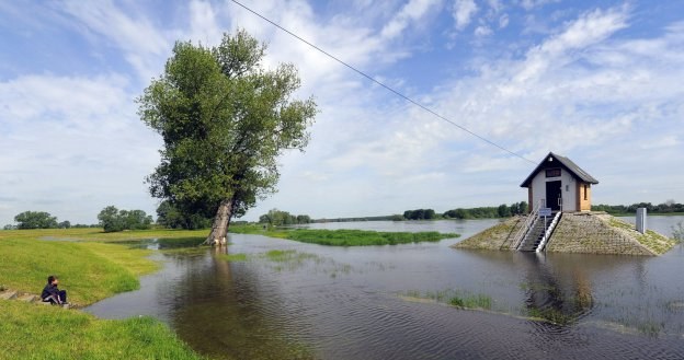 Wnioski o pomoc należy składać do kierownika właściwego terytorialnie ośrodka pomocy społecznej /AFP