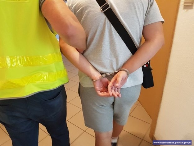 Wnuczek, który okradał swoją babcię został zatrzymany przez policję /Dolnośląska Policja /