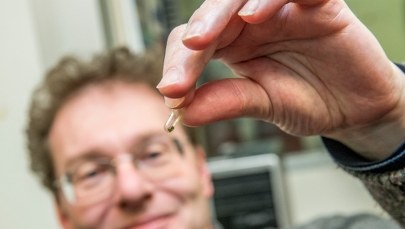 Woda 500 kilometrów pod ziemią? Proszę bardzo...