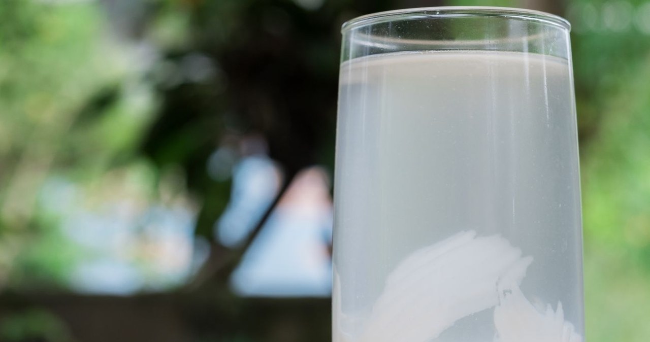 Woda kokosowa doskonale zastępuje wodę, działając jak naturalny izotonik /Samuraioasis /Canva Pro