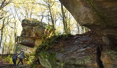 Woda mineralna, park zdrojowy i szereg atrakcji. To małopolskie miasteczko chce zostać uzdrowiskiem