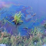 Woda nagle zmieniła kolor. Tuż obok jest popularna polska autostrada