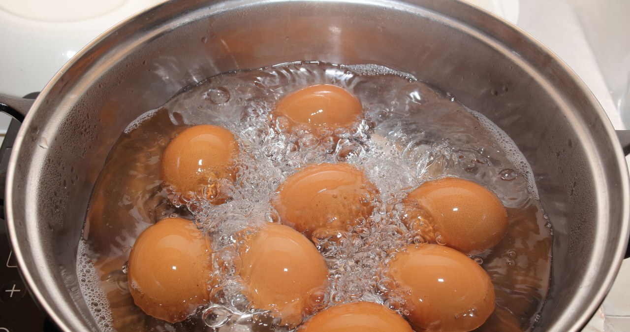 Woda po gotowaniu jajek to cudowny eliksir dla skrzydłokwiatu /123RF/PICSEL