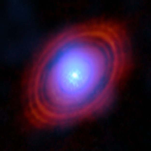 Woda w dysku wokół gwiazdy HL Tauri /ESO /