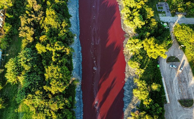 Woda w kanale zmieniła barwę. "Wygląda jak strumień krwi"