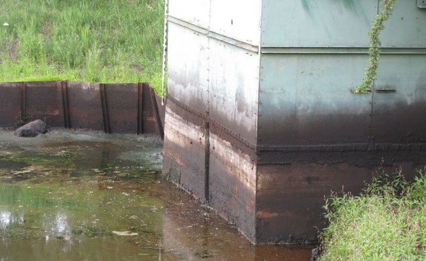 Woda w poznańskich stawach może być zatruta ropą