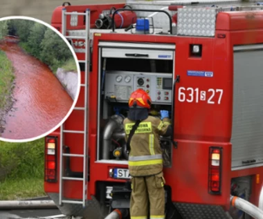 Woda w rzece i potoku nagle przybrała krwisto-czerwony kolor. "Jak plaga egipska"