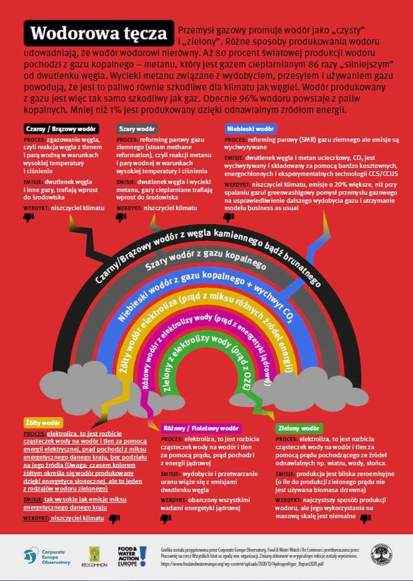 Wodorowa tęcza - Infografika, Źródło: Raport “The hydrogen hype" (2020) /materiały prasowe