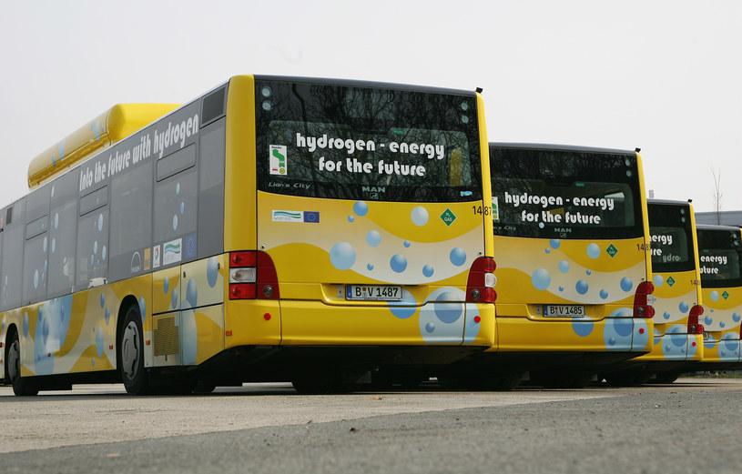 Wodorowe autobusy przynajmniej od 10 lat jeżdża już np. po Berlinie /Getty Images