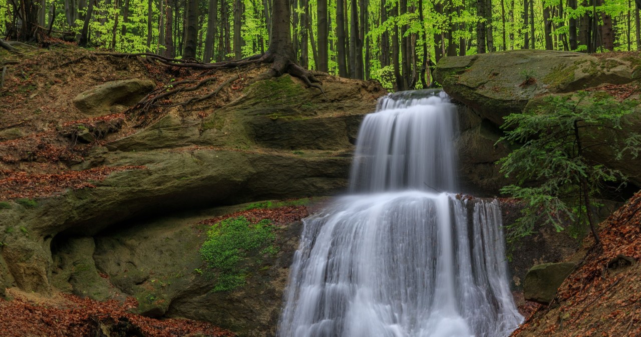 Wodospad Magurski to wyjątkowy zakątek Beskidu Niskiego /East News