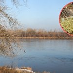 Wody w Polsce przekraczają normy nawet 450-krotnie. Ekspert podaje powód