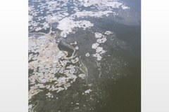 Wody Zatoki Meksykańskiej wciąż zanieczyszczone ropą