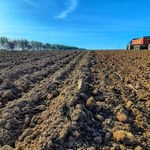 ​Wojciechowski dla "GP": Zielony Ład w rolnictwie jest przełomową zmianą