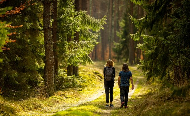 Województwo podlaskie inwestuje w przyrodę. Powstaną nowe rezerwaty