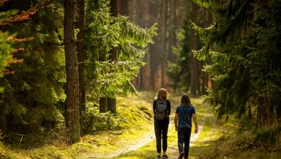 Województwo podlaskie inwestuje w przyrodę. Powstaną nowe rezerwaty