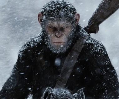 "Wojna o Planetę Małp" [trailer 2]