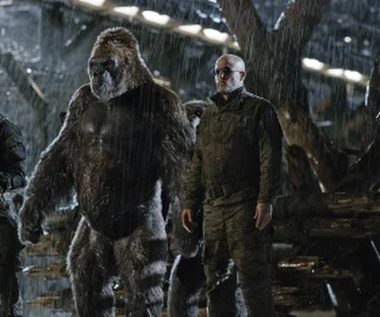 "Wojna o Planetę Małp" [trailer 3]