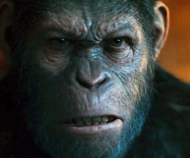 "Wojna o Planetę Małp" [trailer]
