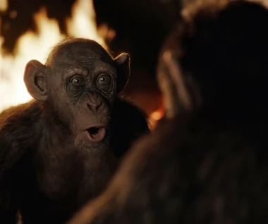 "Wojna o Planetę Małp": Zła małpa [fragment]