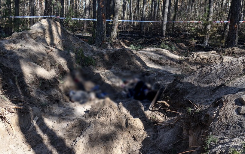 Wojna w Ukrainie. Masowy grób we wsi Motyżyn w obwodzie kijowskim /RONALDO SCHEMIDT /AFP