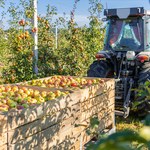 Wojna w Ukrainie to kolejny problem dla polskich eksporterów jabłek