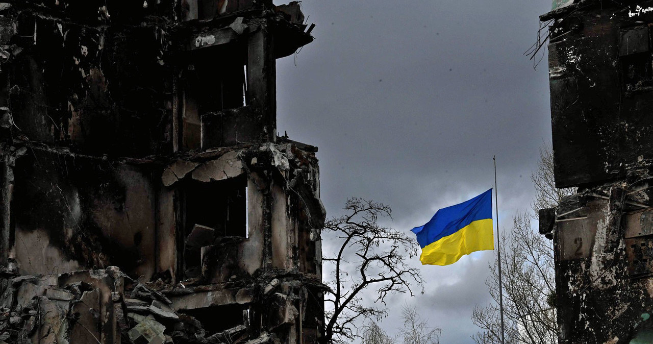 Wojna w Ukrainie to też szkody środowiskowe. Są szacunki strat. /SERGEI SUPINSKY /AFP