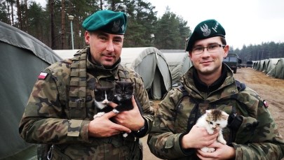 Wojskowi pojechali na ćwiczenia. Wrócili z nich z malutkimi kotkami