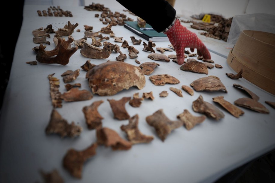 Wojskowych ekshumowano podczas prac prowadzonych we Lwowie-Zboiskach w sierpniu tego roku. /BPiI IPN /