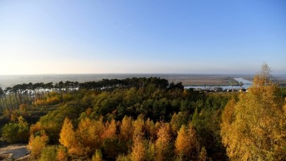Wójt Kołbaskowa: Bez parku Dolina Dolnej Odry zatraci swoje walory