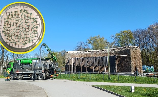 Wolna amerykanka w miejskich tężniach. Dlaczego nie dotyczą ich państwowe normy?