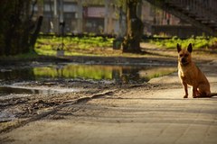 Wołomin dzień po rodzinnej tragedii