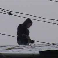 Pogorzelcy z Wołomina mają tydzień na pozbycie się zwierząt