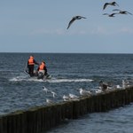 WOPR o wypoczywających nad Bałtykiem: Dużo sytuacji skrajnego lekceważenia podstawowych zasad