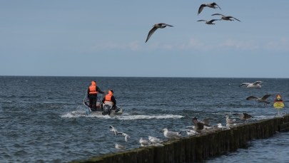 WOPR o wypoczywających nad Bałtykiem: Dużo sytuacji skrajnego lekceważenia podstawowych zasad