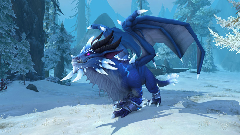 World of Warcraft: Dragonflight /materiały prasowe