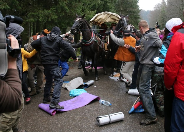Wóz z turystami próbujący przebić się przez grupę ekologów /Grzegorz Momot /PAP