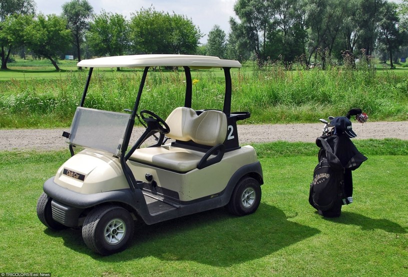 Wózek golfowy nie jest raczej pojazdem przystosowanym do jazdy z większymi prędkościami /MW /East News