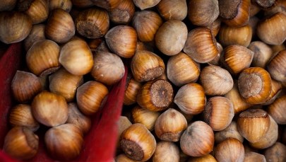 Wpadka gangu „orzeszkowych oszustów”