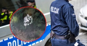 Wpadł w mieszkaniu na Mokotowie. To on miał ostrzelać budynek liceum