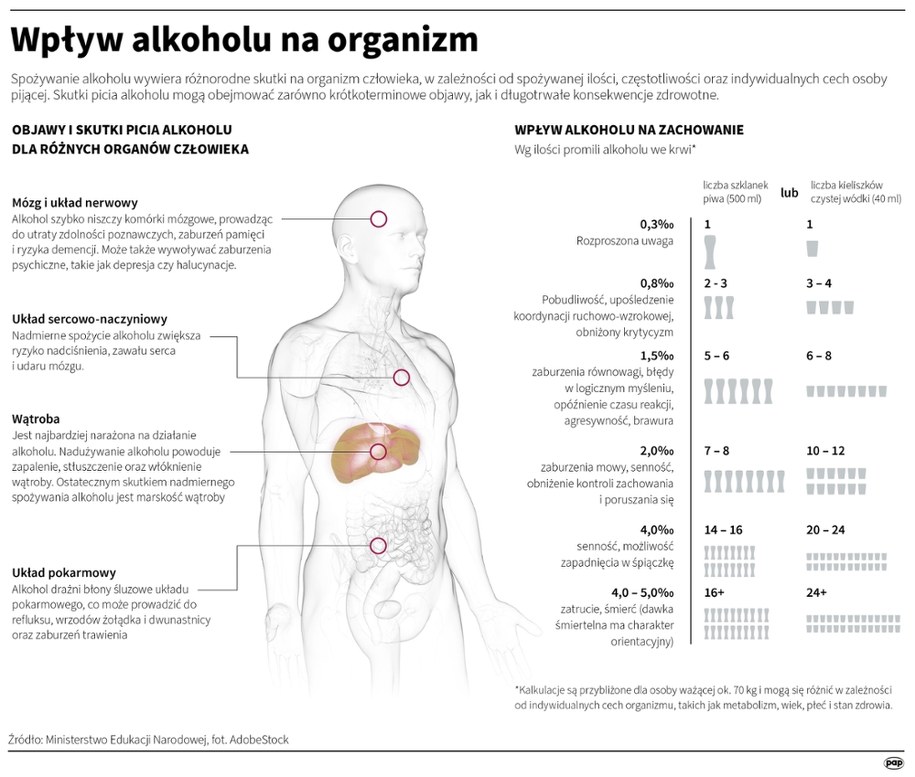 Wpływ alkoholu na organizm /Mateusz Krymski /PAP