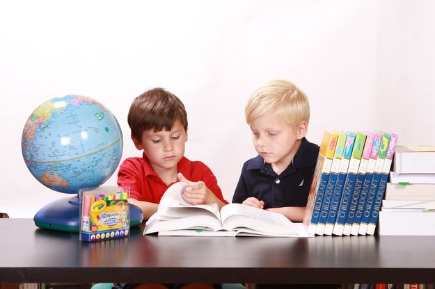 Wprowadzenie bonu edukacyjnego otwiera nowe możliwości różnicowania się placówek na rynku edukacyjnym /pixabay.com /