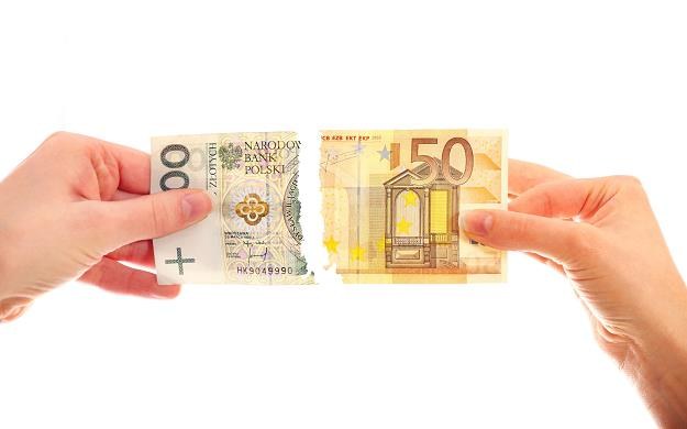 Wprowadzenie euro w Polsce będzie złe? /&copy;123RF/PICSEL