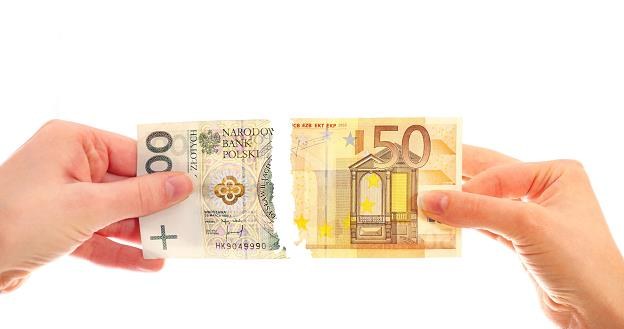 Wprowadzenie euro w Polsce będzie złe? /&copy;123RF/PICSEL