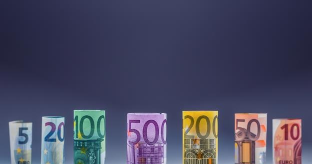 Wprowadzenie wspólnej waluty podniosło poziom życia w Niemczech /&copy;123RF/PICSEL