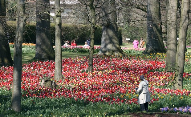 Wraca ciepło! Koniec z przymrozkami 